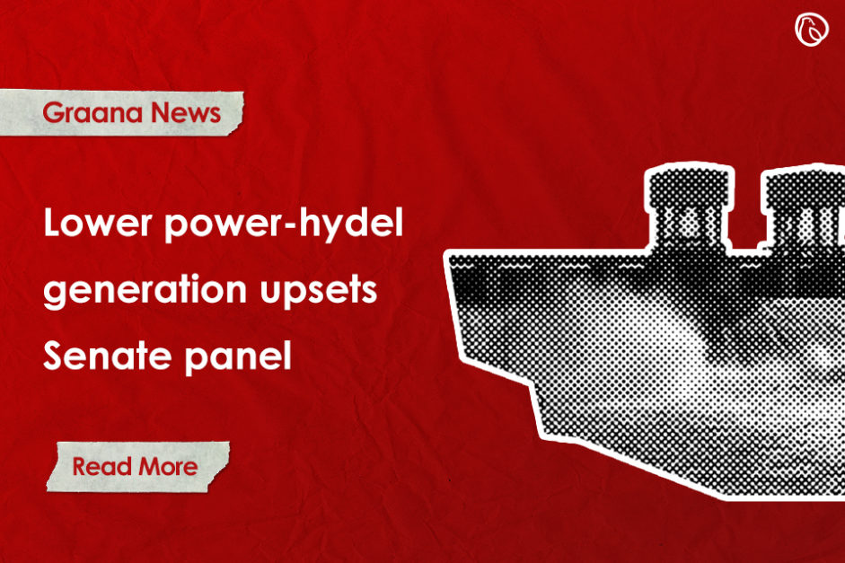 Lower power-hydel generation upsets Senate panel