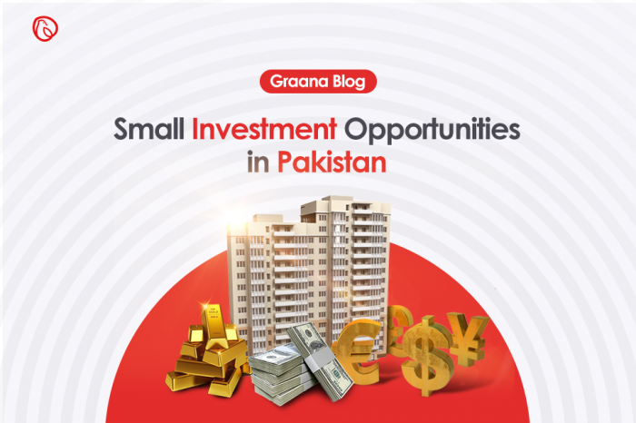 Top 12 Small Investment Opportunities in Pakistan 2022