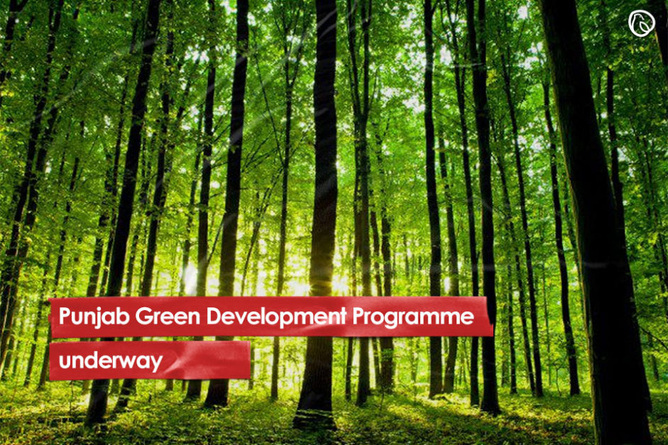 Punjab Green Development Programme underway