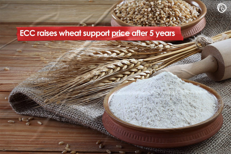 ECC raises wheat support price after 5 years