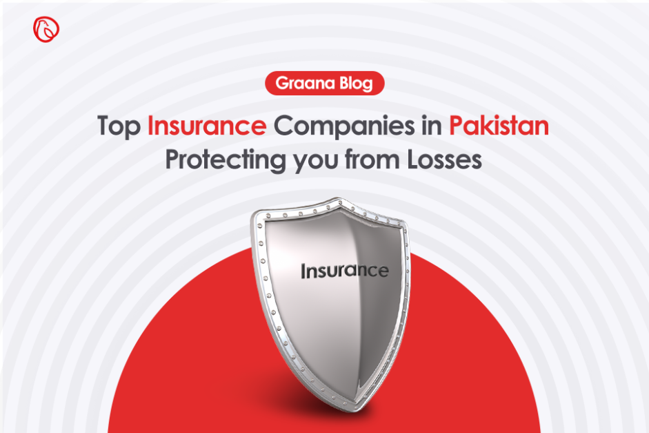 Top Insurance Companies In Pakistan Protecting You From Losses top-insurance-companies-in-pakistan-protecting-you-from-losses