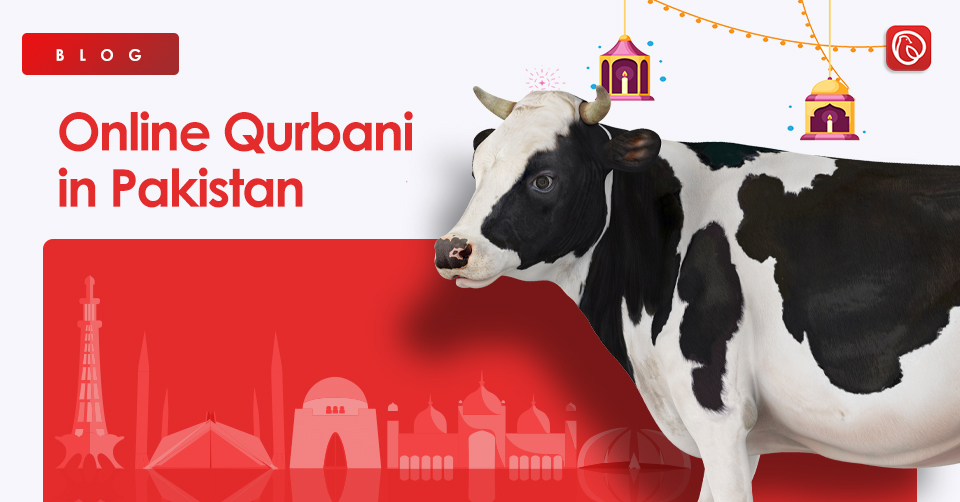 List of Online Qurbani Websites in Pakistan 