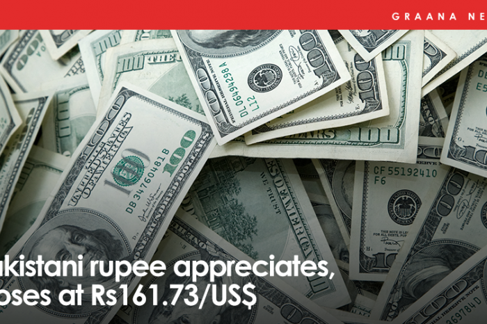 Pakistani rupee appreciates, closes at Rs161.73/US$