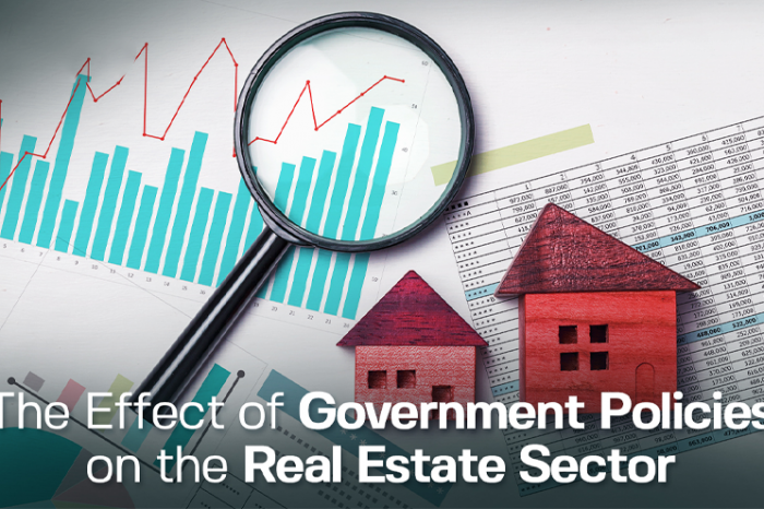 The Effects of Government Policies on Real Estate Sector