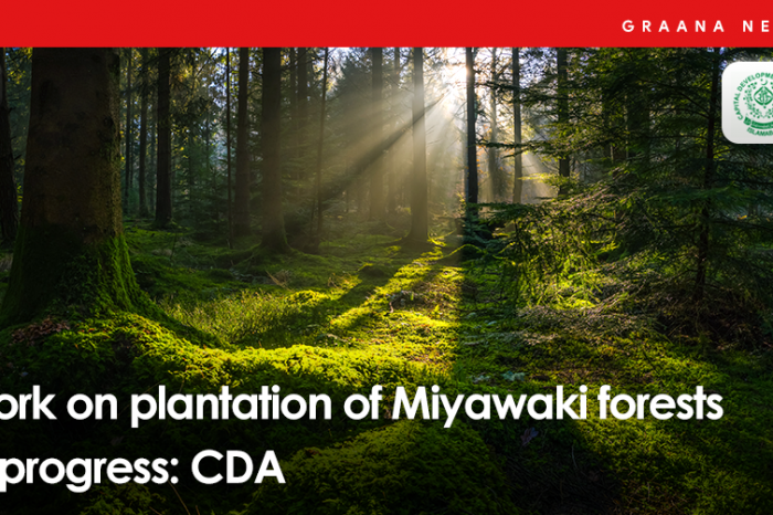 Work on plantation of Miyawaki forests in progress: CDA