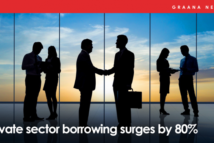 Private sector borrowing surges by 80%