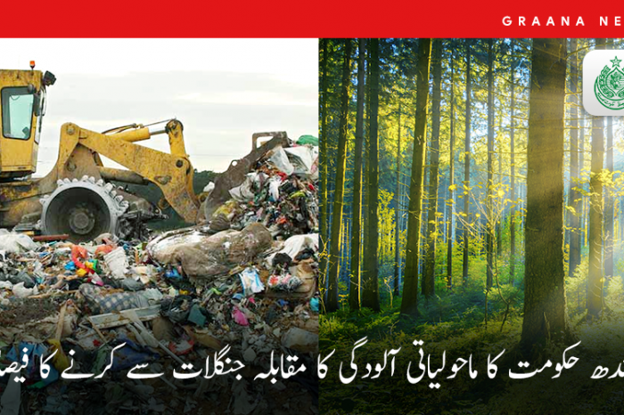 سندھ حکومت کا ماحولیاتی آلودگی کا مقابلہ جنگلات سے کرنے کا فیصلہ