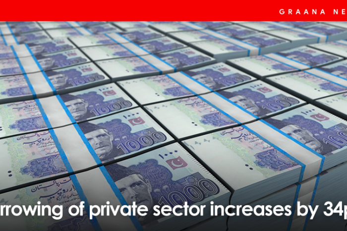 Borrowing of private sector increases by 34pc