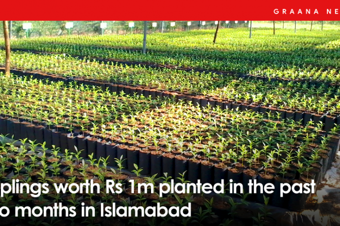 Saplings worth Rs 1m planted in the past two months in Islamabad