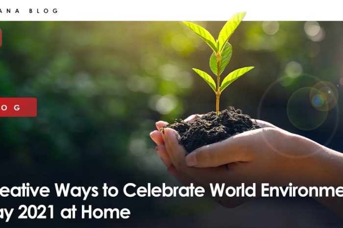 Creative Ways to Celebrate World Environment Day 2021 at Home