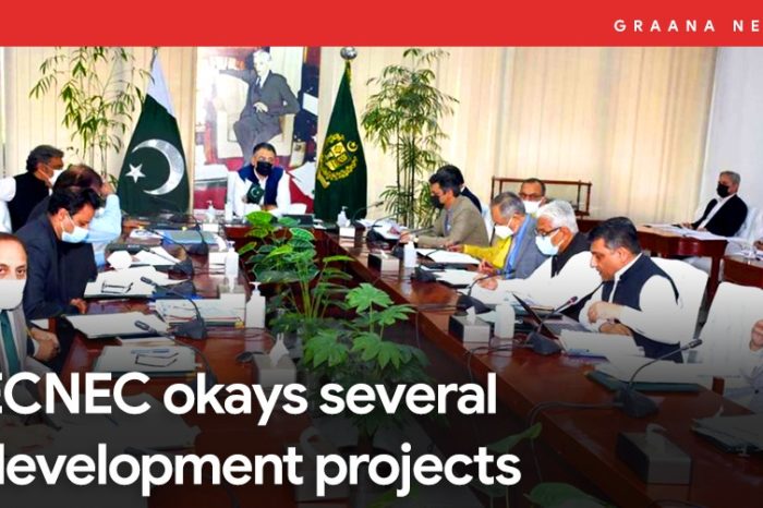 ECNEC okays several development projects