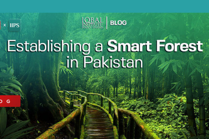 Establishing a Smart Forest in Pakistan