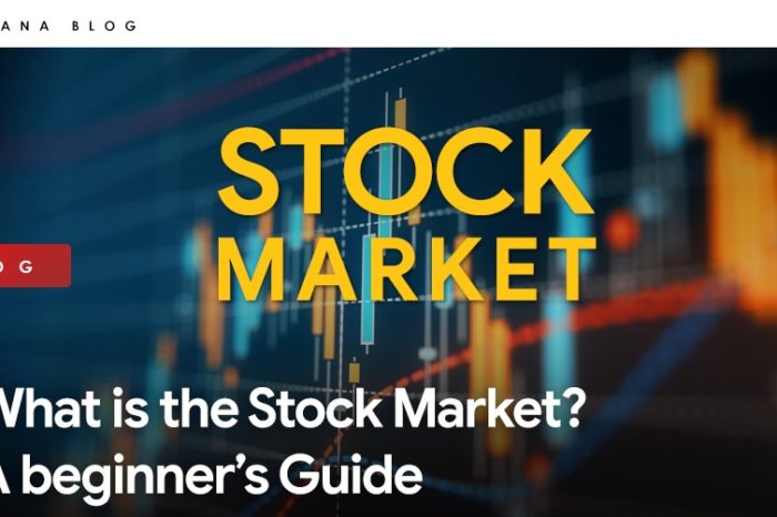 What is the Stock Market? – A beginner’s Guide