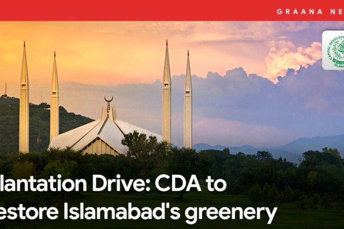 Plantation Drive: CDA to restore Islamabad's greenery