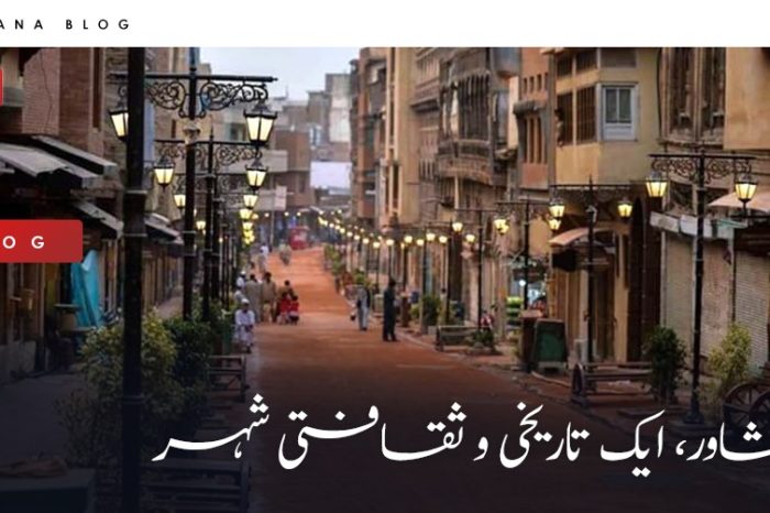 پشاور، ایک تاریخی و ثقافتی شہر