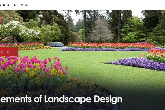 Elements of Landscape Design