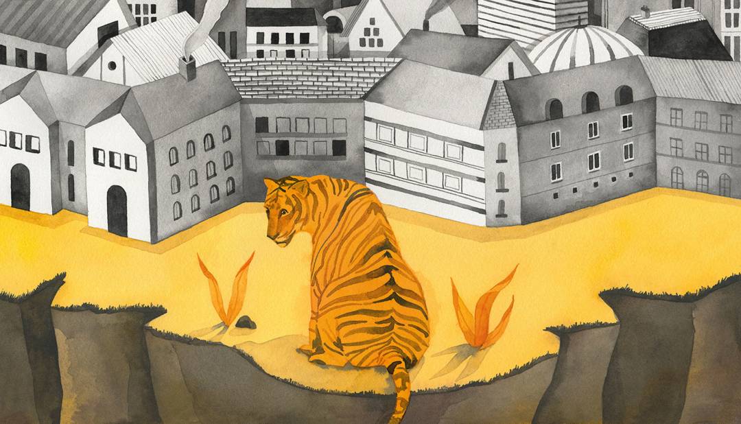A tiger is pushed to the cliff as cities expand and threaten its life