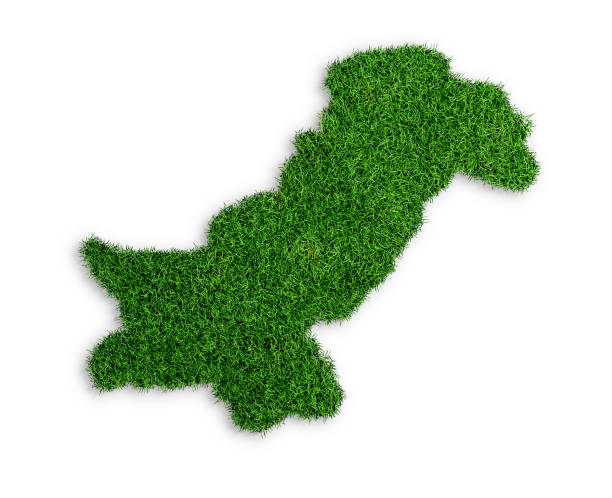 سبز رنگ پر مشتمل پاکستان کا نقشہ