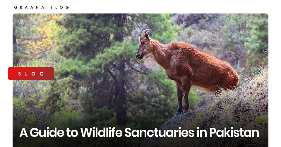 A Guide to Wildlife Sanctuaries in Pakistan A Guide to Wildlife Sanctuaries in Pakistan