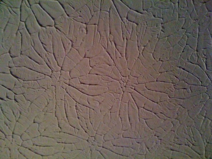 Rosebud Wall texture