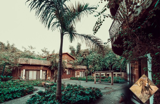 rana resort is best place to unwind with friends