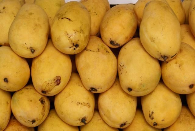 A bunch of mangoes