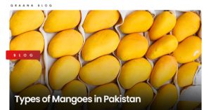 types of mangoes in Pakistan