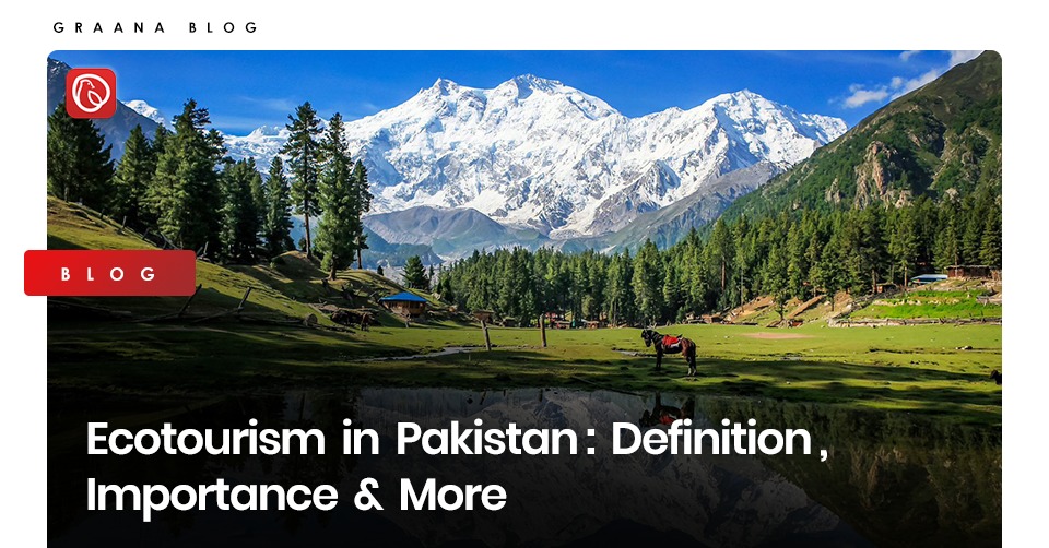 Ecotourism in Pakistan: Definition, Importance & More