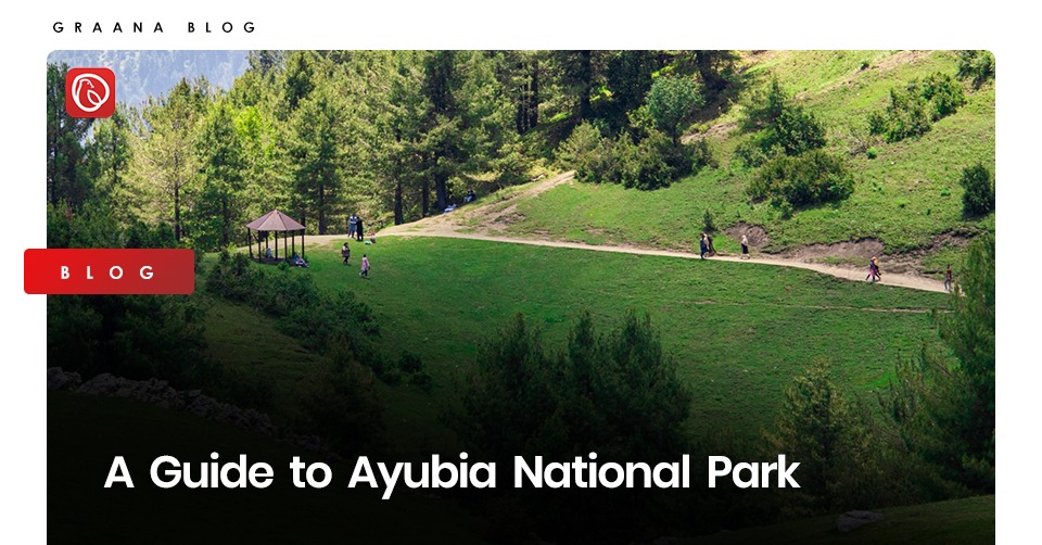 Ayubia National Park, Pakistan