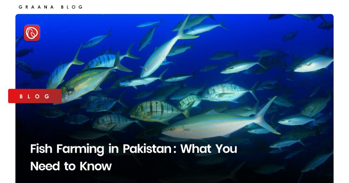 fish farming in Pakistan
